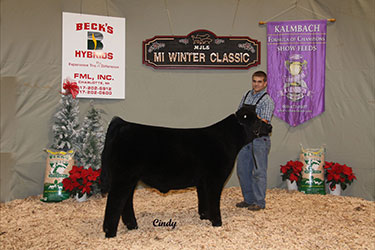 Michigan Jr Livestock Society Winter Classic