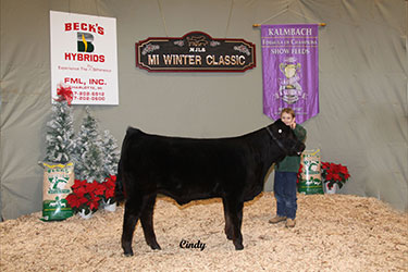 Michigan Jr Livestock Society Winter Classic