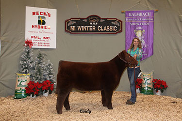 Michigan Jr Livestock Society Winter Classic