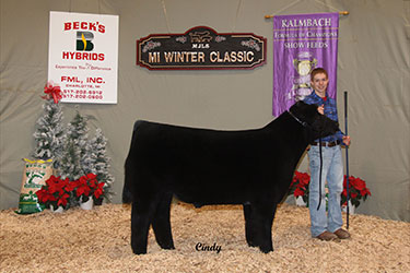 Michigan Jr Livestock Society Winter Classic