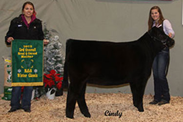 MI Jr Livestock Society