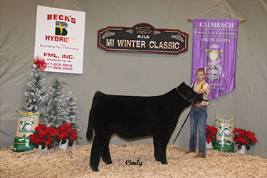 Michigan Jr Livestock Society Winter Classic