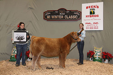 Michigan Jr Livestock Society Winter Classic