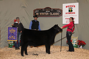 Michigan Jr Livestock Society Winter Classic