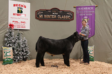 Michigan Jr Livestock Society Winter Classic